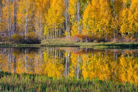 Round Lake Panorama, Utah Fine-Art Print by Jaynes Gallery / Danita ...