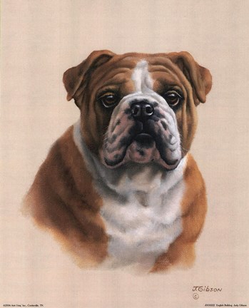 English Bulldog Fine-Art Print by Judith Gibson at UrbanLoftArt.com