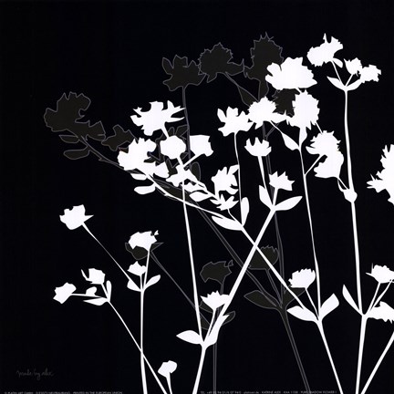 Pure Shadow Flower I Fine-Art Print by Alex Katrine at UrbanLoftArt.com