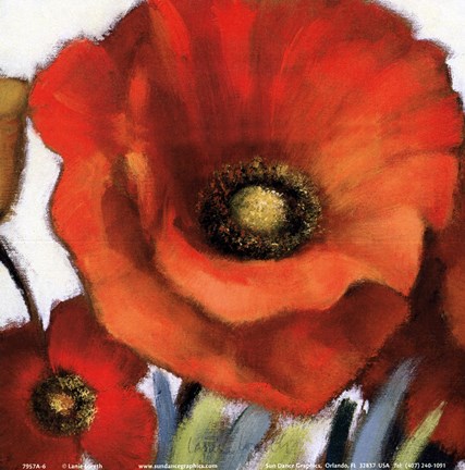 Poppy Splendor Square I (Closeup) Fine-Art Print by Lanie Loreth at ...