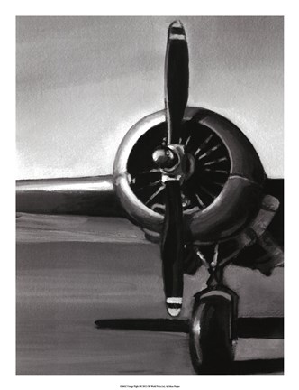 Vintage Flight I Fine-Art Print by Ethan Harper at UrbanLoftArt.com