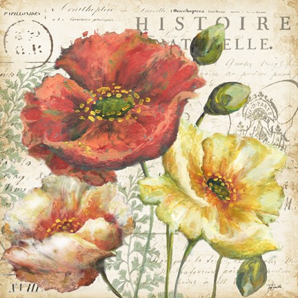 Spice Poppies Histoire Naturelle I Fine-Art Print by Tre Sorelle ...