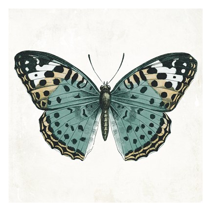 Neutral Butterfly 2 Fine-Art Print by Jace Grey at UrbanLoftArt.com